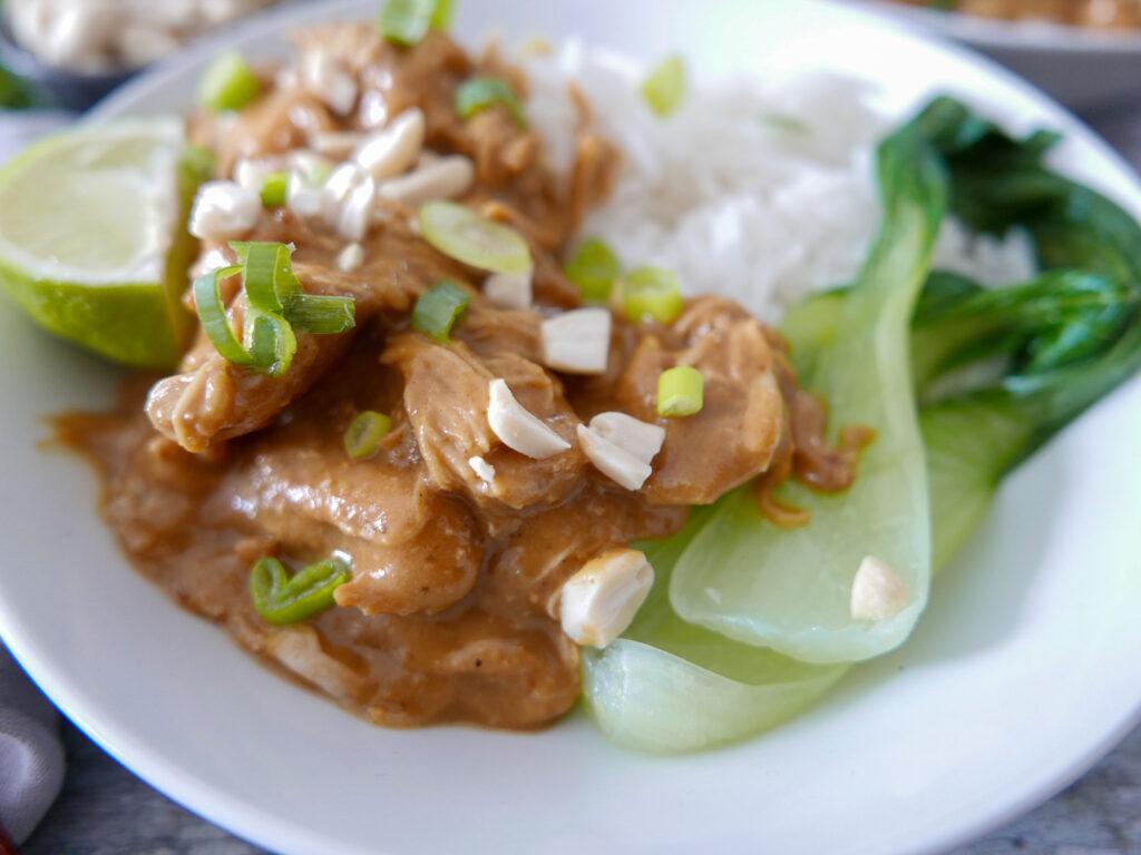 Main: TChicken Satay with Peanut Sauce served with Pilaf Rice and Bok Choy (GF, DF)